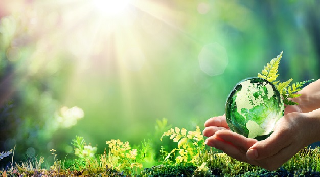 TC for Environmental management revised